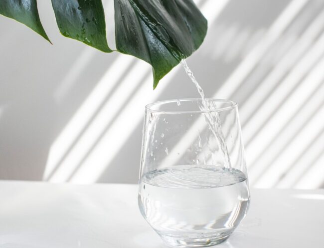 globencer-dL09wmeZGaI-unsplash