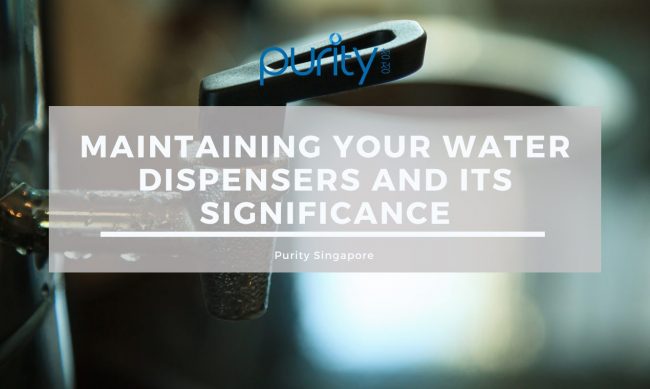 Purity – blog (latest) (8)