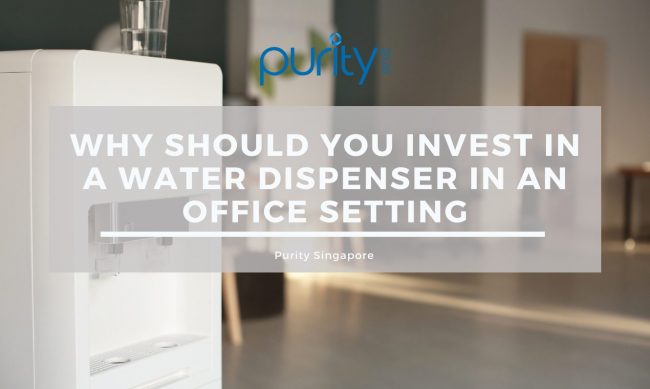 Purity – blog (latest) (9)